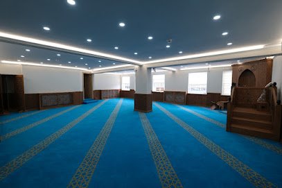 AF1QipMvIIKh0kpERQjt9Oj9k6GdhoA1FX-KkXFktfzZw408-h271-k-no.jpg
