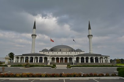 AF1QipPPJbhAmi7CDvO3yNNchSW8T8SJTGvrX_fbkpDNw408-h271-k-no.jpg