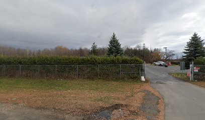 thumbnail-212.jpg