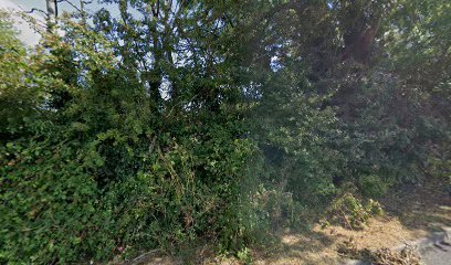 thumbnail-318.jpg