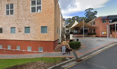 thumbnail-96.jpg