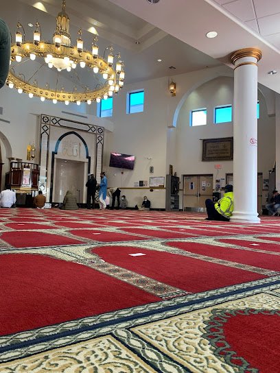 Omar Haikal Islamic Academy -OHIA